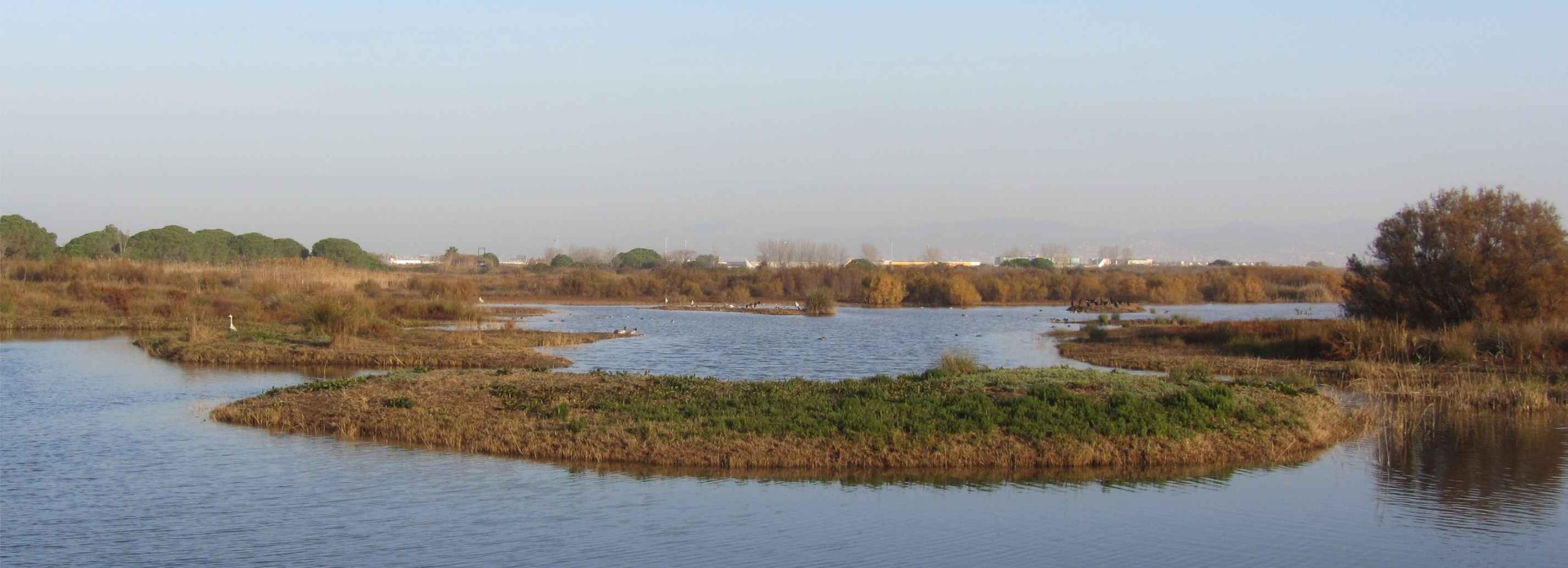 espai natural delta del llobregat wn 11zon