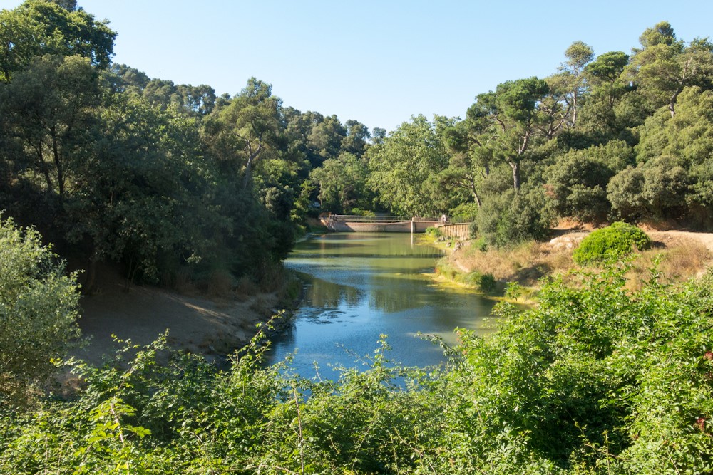 parque natural de collserola