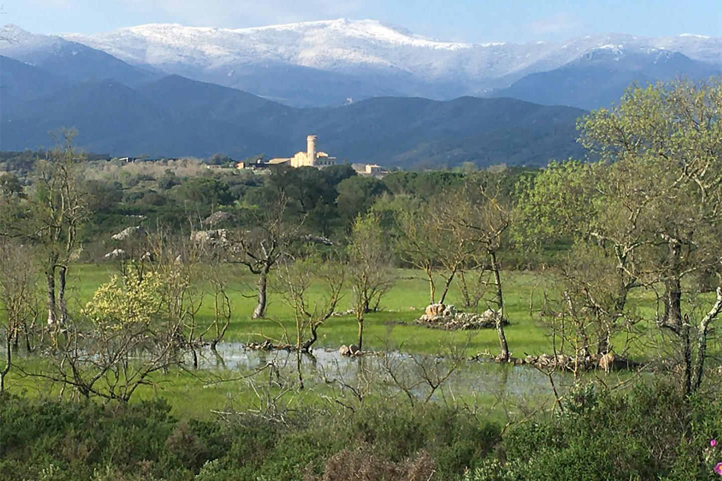 estany llampol