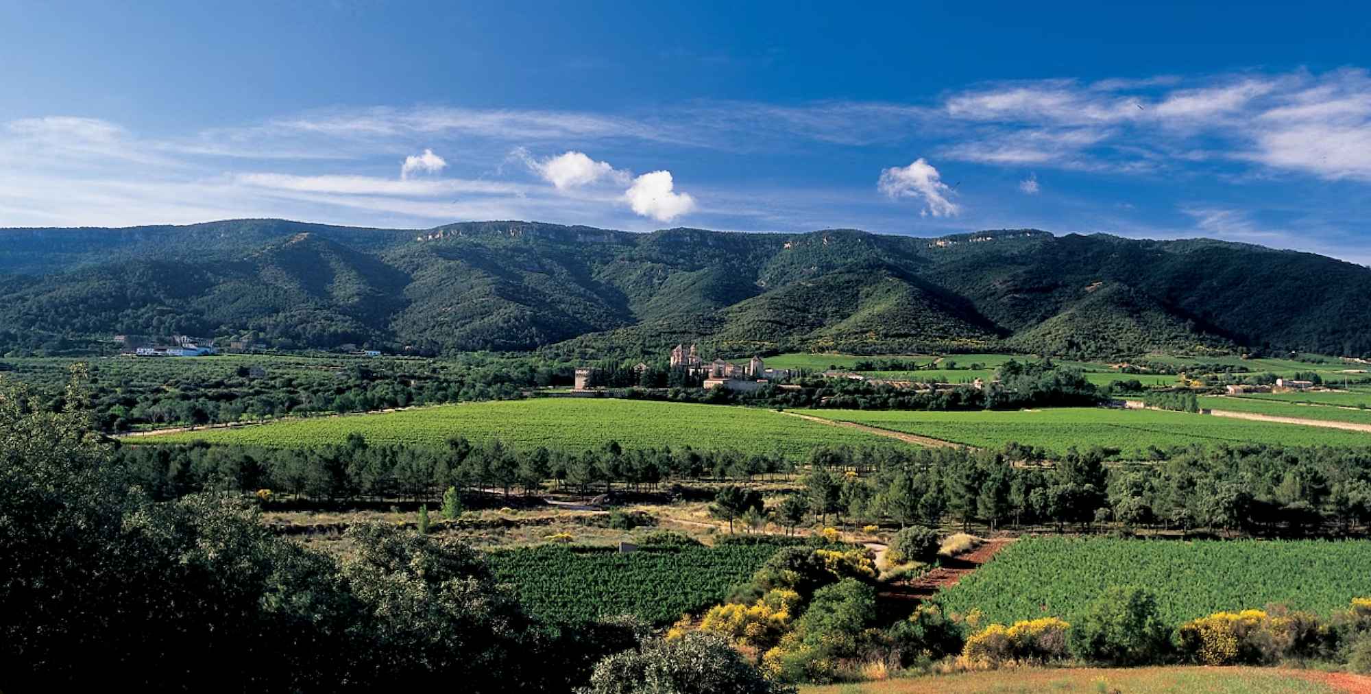 parc natural de poblet