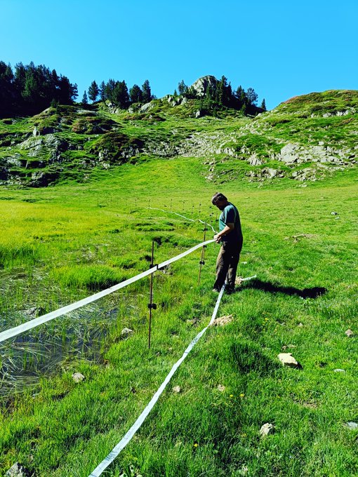 Protegim la Mullera de l’estany de Pudo al Parc Natural de l’Alt Pirineu.